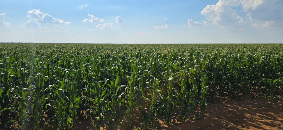0 Bedroom Property for Sale in Hennenman Rural Free State